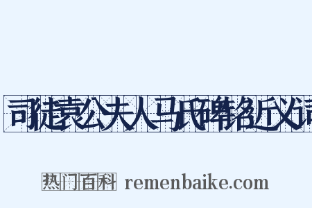 司徒袁公夫人马氏碑铭近义词是什么意思的图片